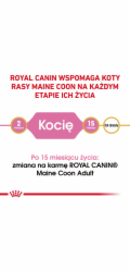 ROYAL CANIN Maine coon FBN Kitten - suché krmivo pro kočky - 400g