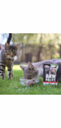 VETEXPERT Raw Paleo Adult Cat Sterilized Beef - mokré krmivo pro kočky - 100 g