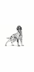 ROYAL CANIN Dog Hepatic VHN - suché krmivo pro psy - 7kg