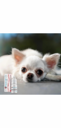 JM SANTE Vet Protector Ligo - oční kapky pro psy a kočky - 3 ml