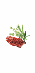 SHELMA Rich in chicken in sauce - mokré krmivo pro kočky - 85g