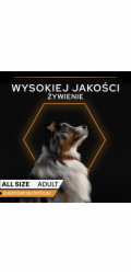 PURINA Pro Plan Everyday nutrition All size Adult Turkey in jelly - vlhké krmivo pro psy - 400g