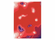 9456937