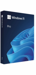Windows Pro 11 64-bit Czech USB