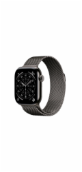 Apple Watch S11 Cell/42/Elegant Band/Slate