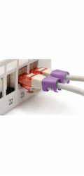 Digitus Farbclips pro Patchkabel 100 Stk. Violett