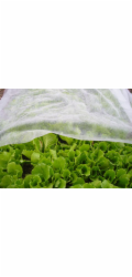 Tkanina Garden B1106 3,2x10 m, netkaná textilie, 17 g/m, bílá