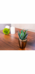 Sukulent MagicHome S15643, 17 cm, květináč - plast, zlatý, umělý