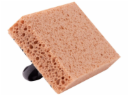 9555815