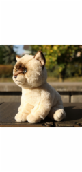 Rappa Plyšová kočka Ragdoll 23 cm SOFT COLLECTION, ECO-FRIENDLY