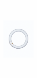 Osram Circular Fluorescent Lamp  L 40W/840 C G10Q Neutralwhite T9