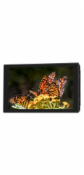 Portkeys HD7T Monitor