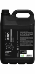 DR LUCY - PRO DISOILING 5 L - ODMAŠŤOVACÍ ŠAMPON PRO PSY