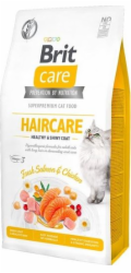 BRIT Care Grain Free Haircare Healthy &