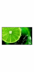 NEC MultiSync E328-2 - 32" Třída úhlopříčky E Series displej LCD s LED podsvícením - digital signage - 1080p 1920 x 1080 - HDR - Direct LED