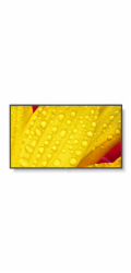 SHARP/NEC LFD 65" MultiSync M651-2, IPS, 3840x2160, 500nit, 8000:1, 8ms, 24/7, DP, HDMI, LAN, USB, Mediaplayer