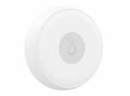 9700081