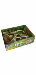 Lucky Reptile Deco Set