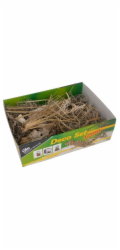 Lucky Reptile Deco Set