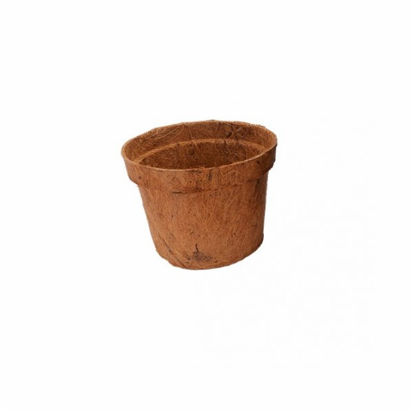 Lucky Reptile Coco Planter