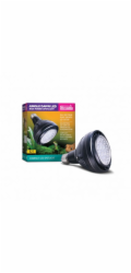 Arcadia Jungle Dawn LED