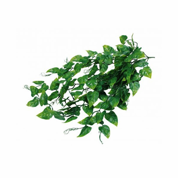 Lucky Reptile Jungle Plants