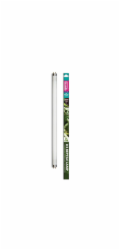 Arcadia D3 Forest Reptile Lamp 6.0 UVB T8