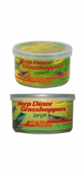 Lucky Reptile Herp Diner - sarančata