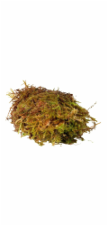 HabiStat Sphagnum Moss 1kg