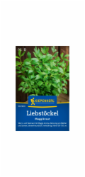 Kiepenkerl Maggikraut "Lovage"