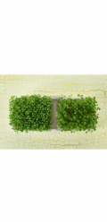 Pěstební miska Sperli Green Sprout Duo