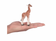 9935223
