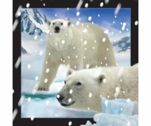 3D pohlednice, která stojí za to uchovat Lední medvědi ve...