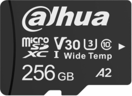 Dahua Technology TF-W100 MicroSDXC karta 256 GB Class 10 U1 A2 V10 (TF-W100-256GB)