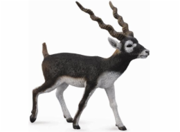 Figurka antilopy Collecta Blackbuck (004-88638)