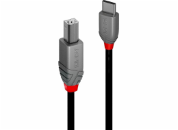 Lindy USB-C – USB-B kabel USB 2 m černý (36942)