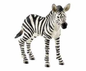 Schleich Wild Life         14811 Zebra Foal