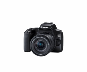 Canon EOS 250D Kit schwarz + EF-S 18-55 IS STM