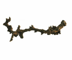Lucky Reptile Grapevine - tmavý M 40-60 cm