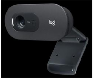 Logitech HD Webcam C505e, HD 720p