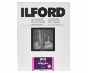 1x100 Ilford MG RC DL  1M 10,5x14,8