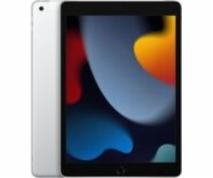 Apple 10.2inch iPad Wi-Fi 256GB Silver              MK2P3...