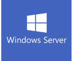 Windows Svr Std 2022 64Bit ENG 16 Core OEM
