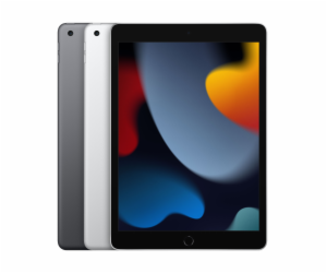Apple 10.2inch iPad Wi-Fi 64GB stríbrný            MK2L3FD/A