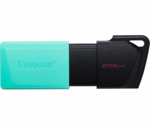 Kingston Flash Disk 256GB USB3.2 Gen 1 DataTraveler Exodi...