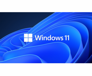 Microsoft OEM Win Pro pro Wrkstns 11 PL x64 HZV-00117 Nah...