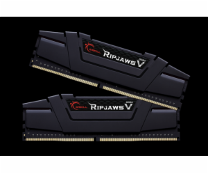 Paměť G.Skill Ripaws V, DDR4, 32 GB, 3200 MHz, CL14 (F4-3...