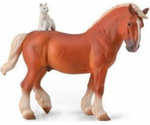 Konkurence koně s kočkou