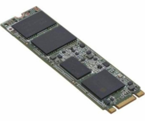 FUJITSU HDD SRV SSD M.2-SATA 6G 240GB - pro MTB FUJITSU -...