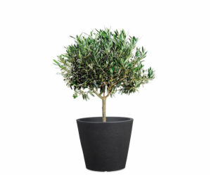 Hrnec Scheurich Stony Black, plast, O 47 cm